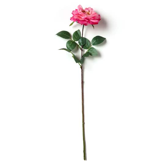 Garden Bloom Orlane Rose Stem Ashland™